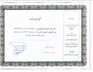 دیبا صعود هونامیک