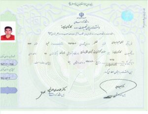 دیبا صعود هونامیک