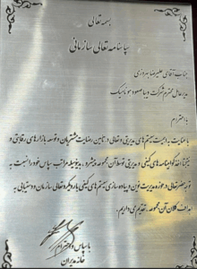 دیبا صعود هونامیک