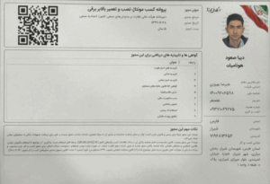 دیبا صعود هونامیک