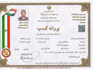 دیبا صعود هونامیک